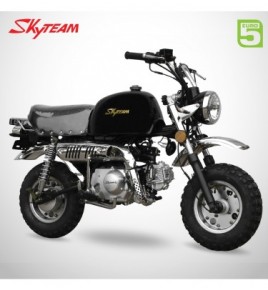 Moto Skyteam Gorilla 50cc