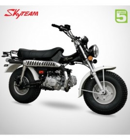 Moto Skyteam T-REX 125cc