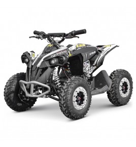 Quad électrique Canada 1060W