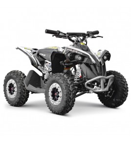 Quad électrique Canada 1060W