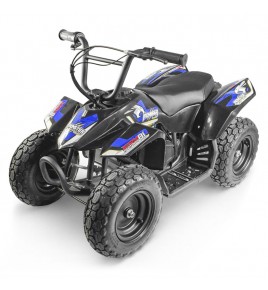 Pocket Quad Enfant Monster 250W