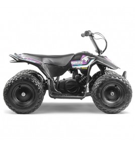 Pocket Quad Enfant Monster 250W