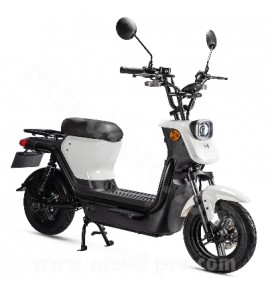 Scooter électrique Lvneng Gener