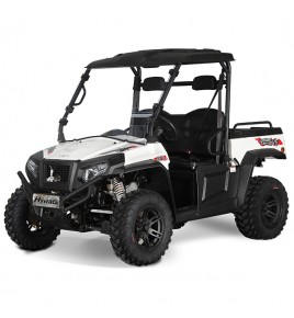 Jobber électrique EV5 MAXX