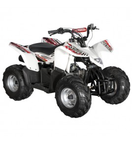 Quad ado HY125SX