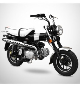 Moto - Skyteam Dax 125cc