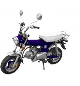 DAX 50CC CITY 1