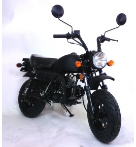 SKYMINI MONKEY 125cc