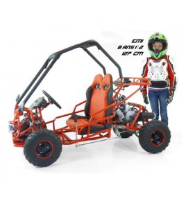 Buggy 110cc