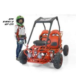 Buggy 110cc