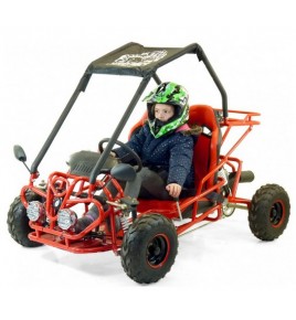 Buggy 110cc