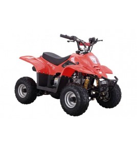 ATV-QUAD 50