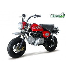 Moto Monkey 125cc