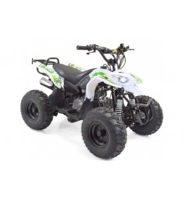 Quad Enfant Sportif Luxe 110cc