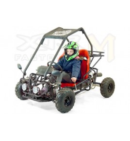 Buggy110cc