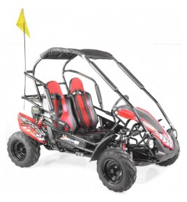 Buggy 200cc