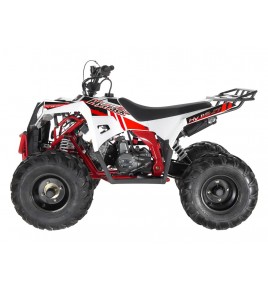 Quad HY 110 ST