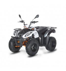 Quad 200cc homologué Kayo bull