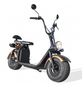 Scooter Electrique Homologuée - CITYCOCO