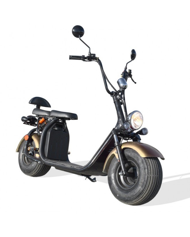 Scooter Electrique Homologuée - CITYCOCO Scooter Electrique Homologuée - CITYCOCO