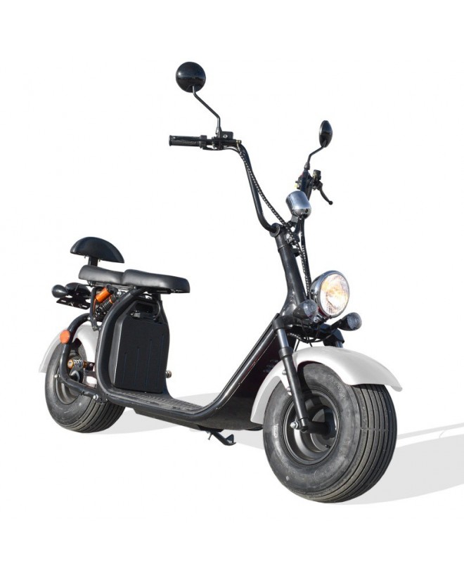 Scooter Electrique Homologuée - CITYCOCO Scooter Electrique Homologuée - CITYCOCO