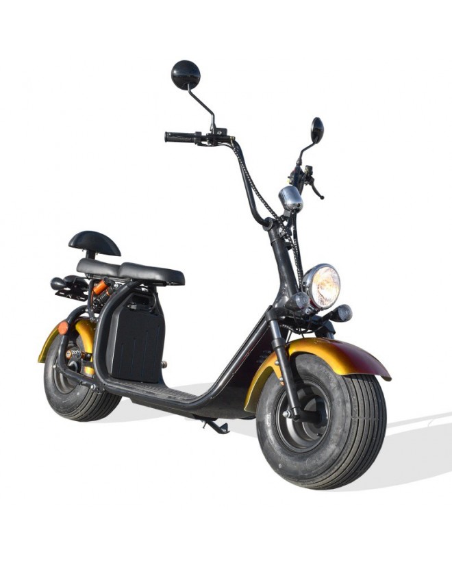 Scooter Electrique Homologuée - CITYCOCO Scooter Electrique Homologuée - CITYCOCO