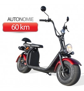 Scooter Electrique Homologuée - CITYCOCO