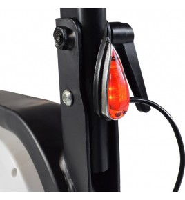 Trottinette Electrique Lighty 250W 7,8 Ah