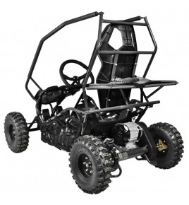 Buggy Electrique Buggyone