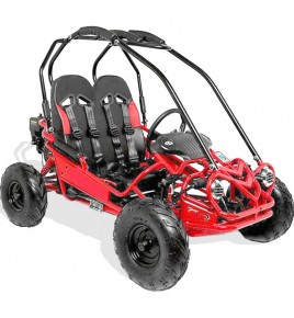 Buggy Enfant 160cc