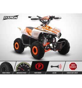 Quad Enfant TRITON 110