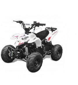 Quad enfant TNT MOTOR Spider 110cc