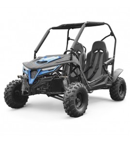 Buggy enfant 210cc