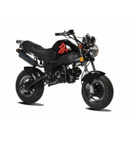 PBR ZB 50cc