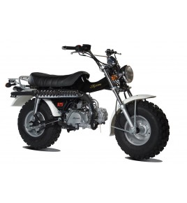 T-REX 125cc
