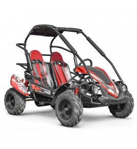 Buggy enfant 200cc