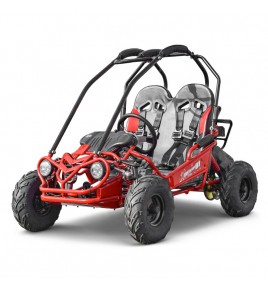 Buggy Enfant 160cc