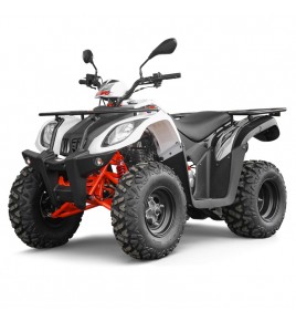 Quad 200cc homologué Kayo bull