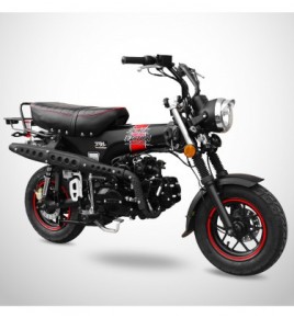 Moto skyteam DAX 125 -...