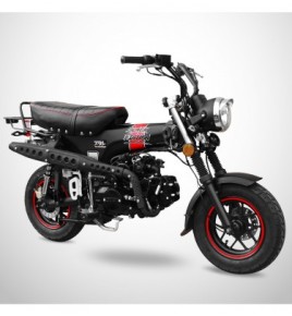 Moto Skyteam DAX 50 - Black...