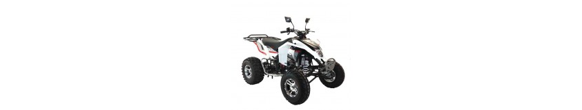 Quad EGL Homologué - Des Quads pour tous les terrains