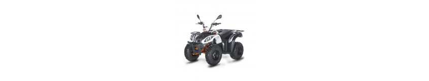 Quad 200cc homologué pas cher disponible ches Scootcash.