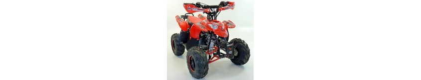 Quad enfant 110cc, choix et des tarifs exceptionnels.