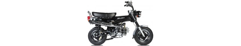 Moto Dax 50cc, les plus grandes marques à prix mini.